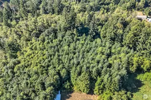 405 Italian Creek Rd, Kalama, WA 98625 - Photo 33