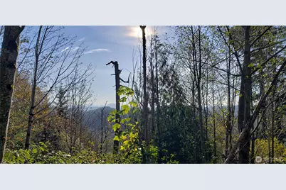 365 Xx Cumberland Ridge Road SE, Enumclaw, WA 98022 - Photo 9