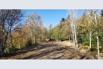 365 Xx Cumberland Ridge Road SE, Enumclaw, WA 98022 - Photo 5