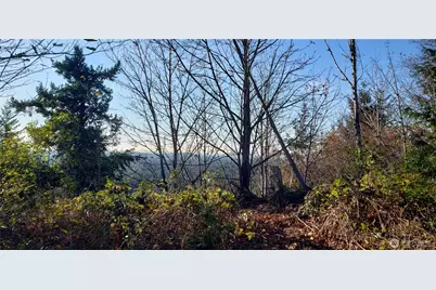 365 Xx Cumberland Ridge Road SE, Enumclaw, WA 98022 - Photo 33