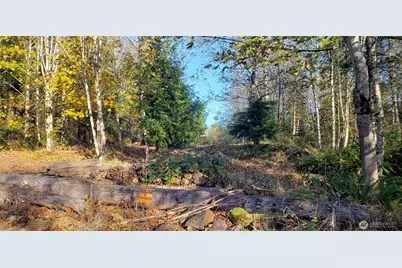 365 Xx Cumberland Ridge Road SE, Enumclaw, WA 98022 - Photo 27