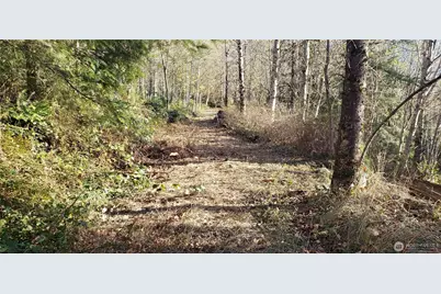 365 Xx Cumberland Ridge Road SE, Enumclaw, WA 98022 - Photo 17