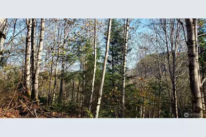 365 Xx Cumberland Ridge Road SE, Enumclaw, WA 98022 - Photo 21