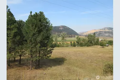 9999 Customs Road, Curlew, WA 99118 - Photo 3