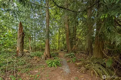 15811 32nd Drive NW, Stanwood, WA 98292 - Photo 31