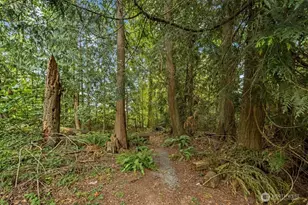 15811 32nd Dr NW, Stanwood, WA 98292 - Photo 31