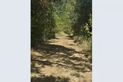 144 Dowling Road, Toledo, WA 98591 - Photo 13