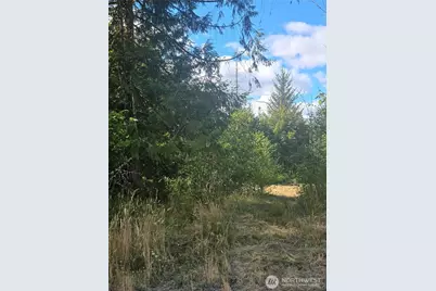 144 Dowling Road, Toledo, WA 98591 - Photo 19