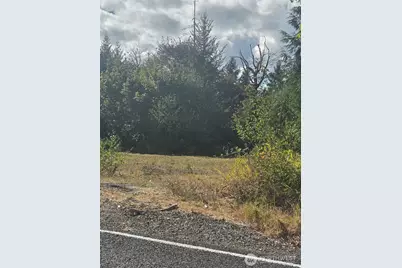 144 Dowling Road, Toledo, WA 98591 - Photo 23
