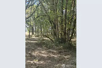 144 Dowling Road, Toledo, WA 98591 - Photo 3