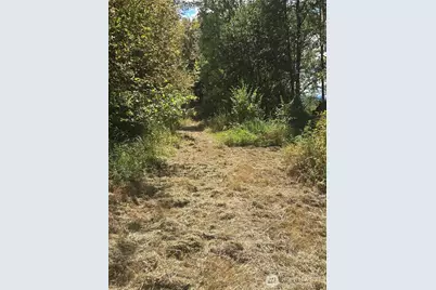 144 Dowling Road, Toledo, WA 98591 - Photo 15