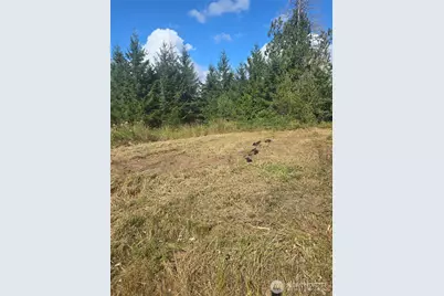 144 Dowling Road, Toledo, WA 98591 - Photo 11