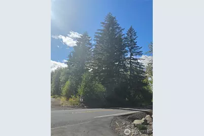 144 Dowling Road, Toledo, WA 98591 - Photo 21