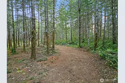 131 E Webb Hill Road, Union, WA 98592 - Photo 1
