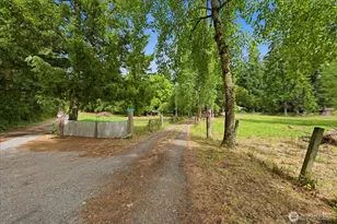 35505 37th Ave S, Roy, WA 98580 - Photo 33
