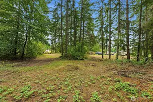 35505 37th Ave S, Roy, WA 98580 - Photo 37