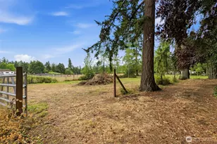 35505 37th Ave S, Roy, WA 98580 - Photo 35