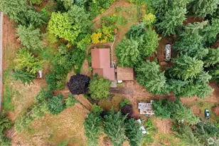 35505 37th Ave S, Roy, WA 98580 - Photo 39