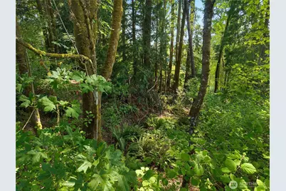 40 E Ridgeview Drive, Shelton, WA 98584 - Photo 11
