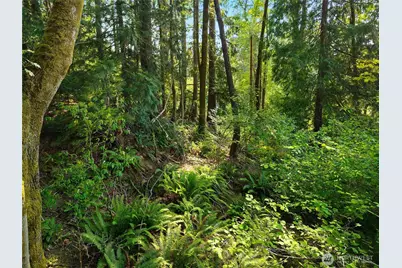 40 E Ridgeview Drive, Shelton, WA 98584 - Photo 29