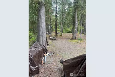 162 Coal Creek Drive, Packwood, WA 98937 - Photo 15