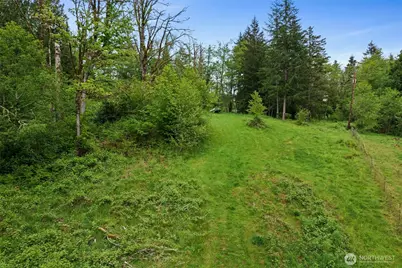 0 X Salmon Creek Road, Mossyrock, WA 98564 - Photo 1