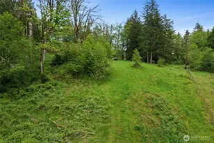 0 X Salmon Creek Rd, Mossyrock, WA 98564 - Photo 1