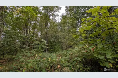 7964 My Way, Sedro Woolley, WA 98284 - Photo 21