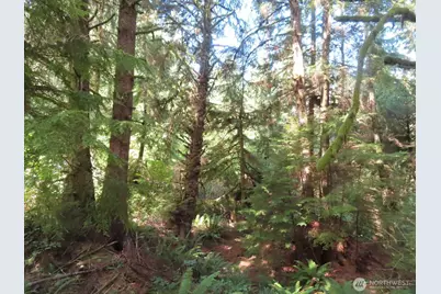 0 Xxx State Route 101, South Bend, WA 98586 - Photo 9