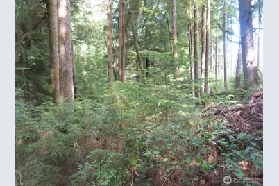 0 Xxx State Route 101, South Bend, WA 98586 - Photo 25