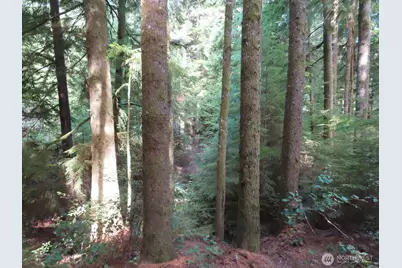 0 Xxx State Route 101, South Bend, WA 98586 - Photo 1