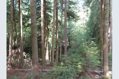 0 Xxx State Route 101, South Bend, WA 98586 - Photo 3