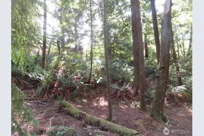 0 Xxx State Route 101, South Bend, WA 98586 - Photo 21