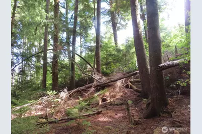0 Xxx State Route 101, South Bend, WA 98586 - Photo 27