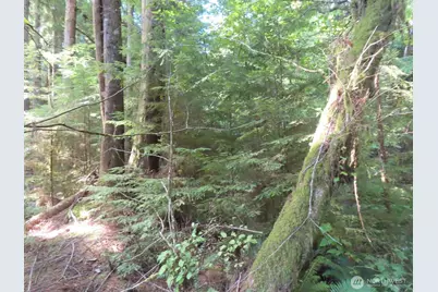 0 Xxx State Route 101, South Bend, WA 98586 - Photo 23