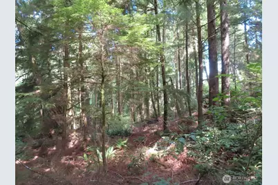0 Xxx State Route 101, South Bend, WA 98586 - Photo 17