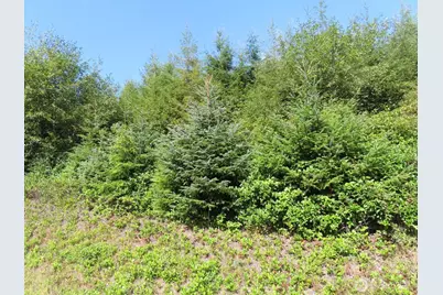 0 Xxx State Route 101, South Bend, WA 98586 - Photo 19