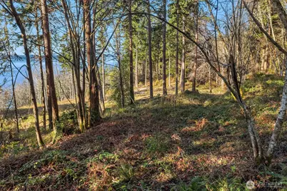 629 3rd Avenue, Fox Island, WA 98333 - Photo 17