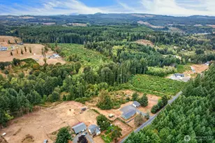 453 Haywire Rd, Winlock, WA 98596 - Photo 37
