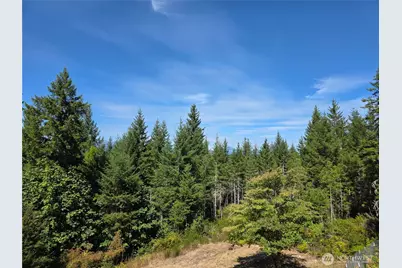 62 NE Southridge Drive, Belfair, WA 98528 - Photo 3