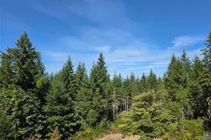 62 NE Southridge Dr, Belfair, WA 98528 - Photo 3