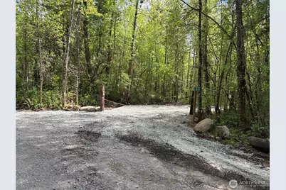 0 42nd Avenue S, Roy, WA 98580 - Photo 3