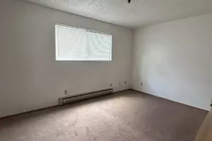 5916 California Ave SW, Seattle, WA 98136 - Photo 19