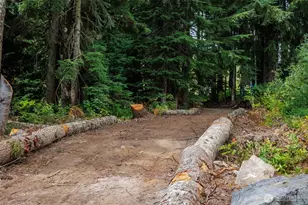 200 Pass Life Way, Snoqualmie Pass, WA 98068 - Photo 21