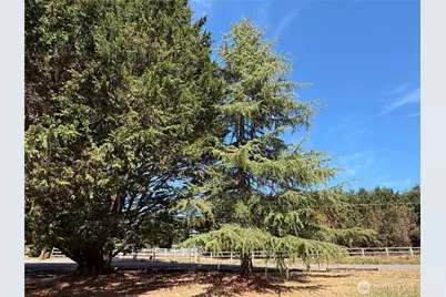 3295 Hastings, Port Townsend, WA 98368 - Photo 13