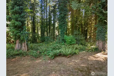 8306 94th Street NW #A & B, Gig Harbor, WA 98332 - Photo 31