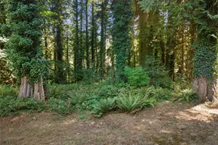 8306 94th St NW, Gig Harbor, WA 98332 - Photo 31