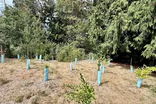 3804 Q Ave, Anacortes, WA 98221 - Photo 31