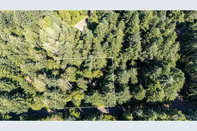8819 Eckenstam Johnson Road, Anderson Island, WA 98303 - Photo 1