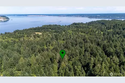 8819 Eckenstam Johnson Road, Anderson Island, WA 98303 - Photo 5